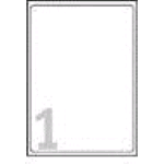 AVERY-ZWECKFORM L6013-20 CONF 20 ETICHETTE 297x210 MM AUTOADESIVE ARGENTO