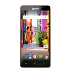 NGM YOU COLOR P550 DUAL SIM 5.5" IPS HD CURVO QUAD CORE 8GB RAM 1GB 4G LTE EXTRA COVER OMAGGIO AGGIUNTIVA TRA 21 COLORI ITALIA GOLD