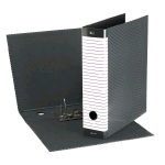 ESSELTE DELSOLINE G14 REGISTRATORE FORMATO PROTOCOLLO 230X330X50 mm COL. GRIGIO/BIANCO CONF 8 Pz.