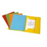 FRASCHINI CARTELLINE SEMPLICI IN CARTONCINO 140 GR 250X330MM A4 ROSA CONF 100 Pz.