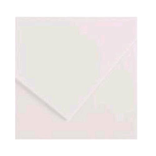 CANSON COLORLINE CARTONCINO 220 GR 70X100 CM BIANCO CONF 25 Pz.