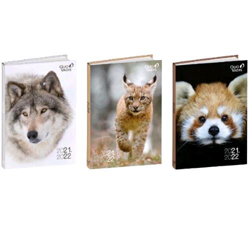 QUO VADIS AMICI AGENDA GIORNALIERA 2021/22 12X17 CM 12 MESI AGOSTO LUGLIO SOGGETTI ASSORTITI CONF 6 PZ.
