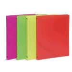 LEBEZ NEON RACCOGLITORE 4 ANELLI DA 30 mm 26X31.5 CM A4 COLORI ASSORTITI 