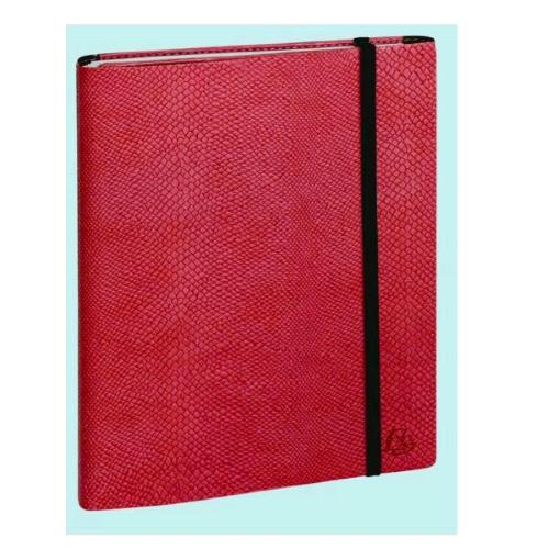 QUO VADIS ALL IN ONE AGENDA SETTIMANALE 17X21.5 CM 16 MESI CON ELASTICO ROSSO