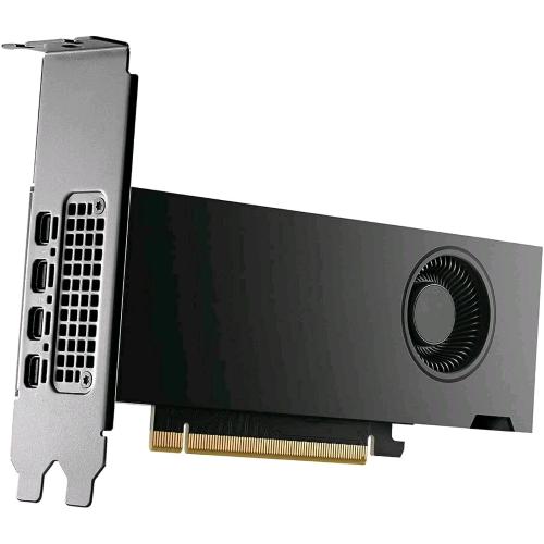 NVIDIA RTX 2000 Ada RETAIL 12 GB GDDR6 PCI Express x16 4.0 - 4 DISPLAYPORT