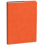 QUO VADIS AGENDA SETTIMANALE DEL PROFESSORE ROMA 2026 12 MESI AGOSTO LUGLIO 21X27 CM ARANCIO