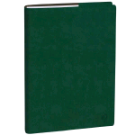 QUO VADIS AGENDA SETTIMANALE DEL PROFESSORE 2026 12 MESI AGOSTO LUGLIO 21X27 CM COPERTINA ROMA VERDE