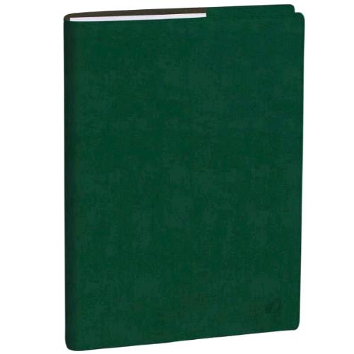 QUO VADIS AGENDA SETTIMANALE DEL PROFESSORE 2026 12 MESI AGOSTO LUGLIO 21X27 CM COPERTINA ROMA VERDE