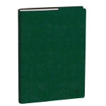QUO VADIS AGENDA SETTIMANALE UNIVERSITAIRE ROMA 2026 12 MESI AGOSTO LUGLIO 10X15 CM VERDE