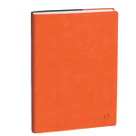 QUO VADIS EUROTEXT ROMA AGENDA GIORNALIERA 2025/26 12X17 CM 12 MESI AGOSTO LUGLIO ARANCIO
