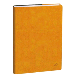 QUO VADIS EUROTEXT ROMA AGENDA GIORNALIERA 2025/26 12X17 CM 12 MESI AGOSTO LUGLIO GIALLO ZAFFERANO
