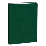 QUO VADIS EUROTEXT ROMA AGENDA GIORNALIERA 2025/26 12X17 CM 12 MESI AGOSTO LUGLIO VERDE INGLESE