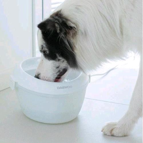 DAEWOO D-DH0154-W SMART PET WATER FOUNTAIN FONTANA D'ACQUA AUTOMATICA 4 LT PER ANIMALI ZONA DI ABBEVERAGGIO RIALZATO LABAVILE IN LAVASTOVIGLI BIANCO