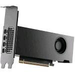 NVIDIA RTX PRO 2000 Blackwell 16GB GDDR7 4 X MINI DISPLAYPORT