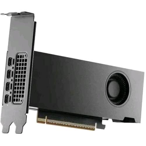 NVIDIA RTX PRO 2000 Blackwell 16GB GDDR7 4 X MINI DISPLAYPORT