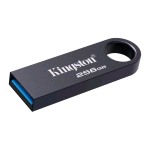 KINGSTON DATATRAVELER SE9 G3 256GB CHIAVETTA USB-A 3.2 Gen 1 (3.1 Gen 1) NICKEL SCURO