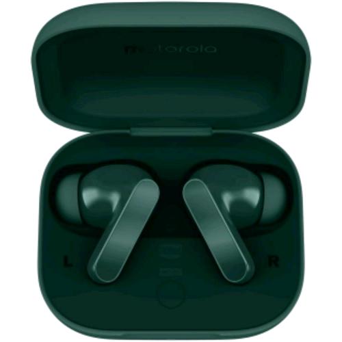 MOTOROLA MOTO BUDS BASS AURICOLARI TRUE WIRELESS STEREO (TWS) IN-EAR MUSICA E CHIAMATE BLUETOOTH ELIMINAZIONE ATTIVA DEL RUMORE POSY GREEN