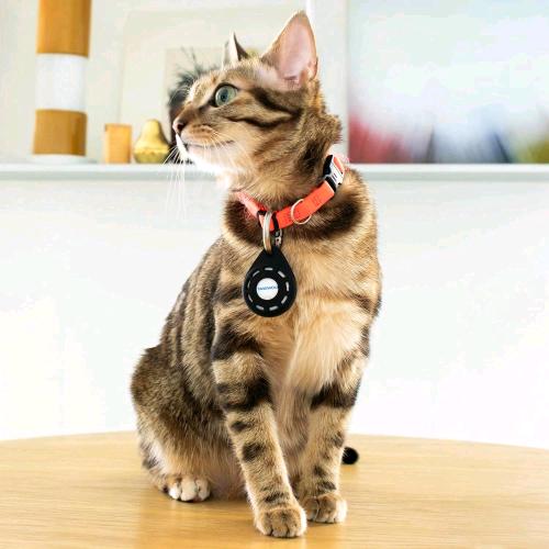 DAEWOO TRACKER TAG SMART TAG PER CANI E GATTI COMPATIBILE CON IOS APPLE FIND MY GPS ALLARME ACUSTICO 70dB AUTONOMIA 12 MESI BIANCO