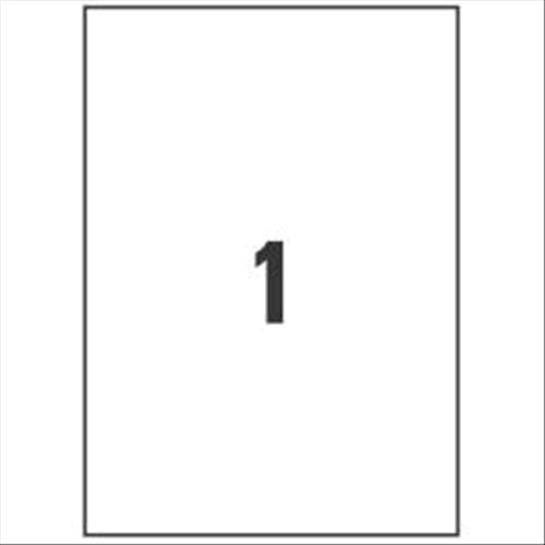 AVERY-ZWECKFORM CONFEZIONE 25 ETICHETTE ADESIVE 297x210 MM TRASPARENTI